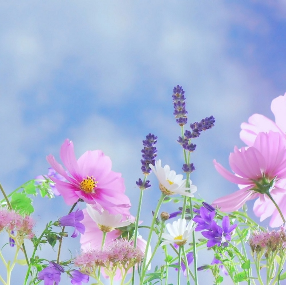 Meet your Posh Ambassador, Sharon